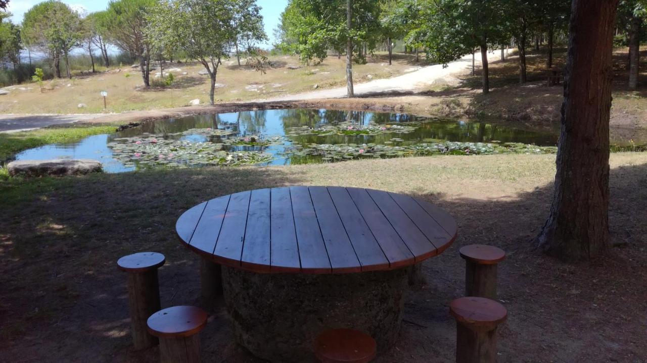 Quinta Da Fonte - Agroturismo 巴罗塞拉斯 外观 照片