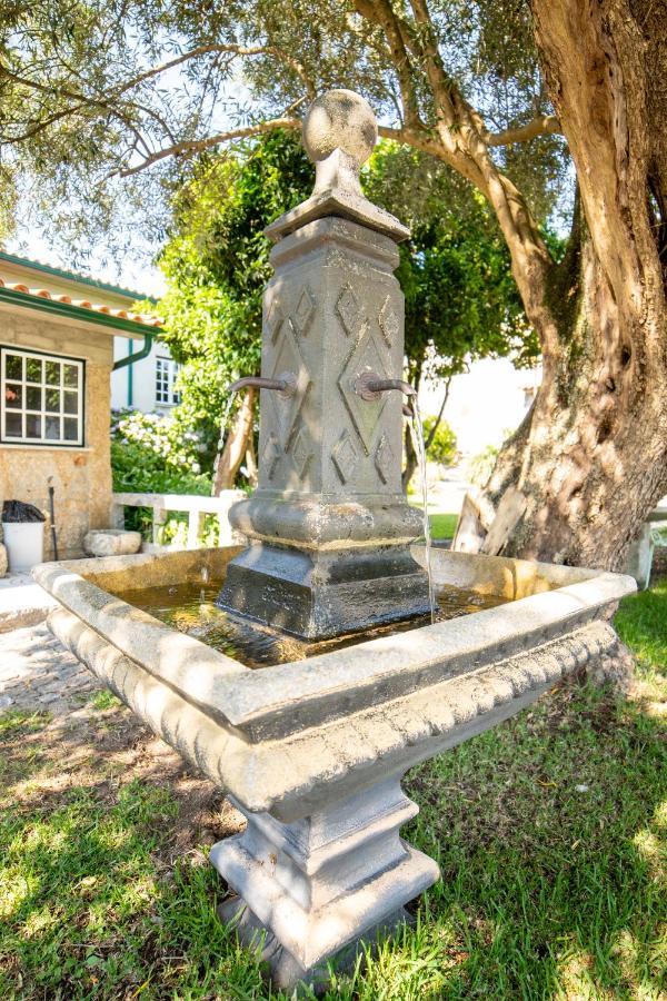 Quinta Da Fonte - Agroturismo 巴罗塞拉斯 外观 照片