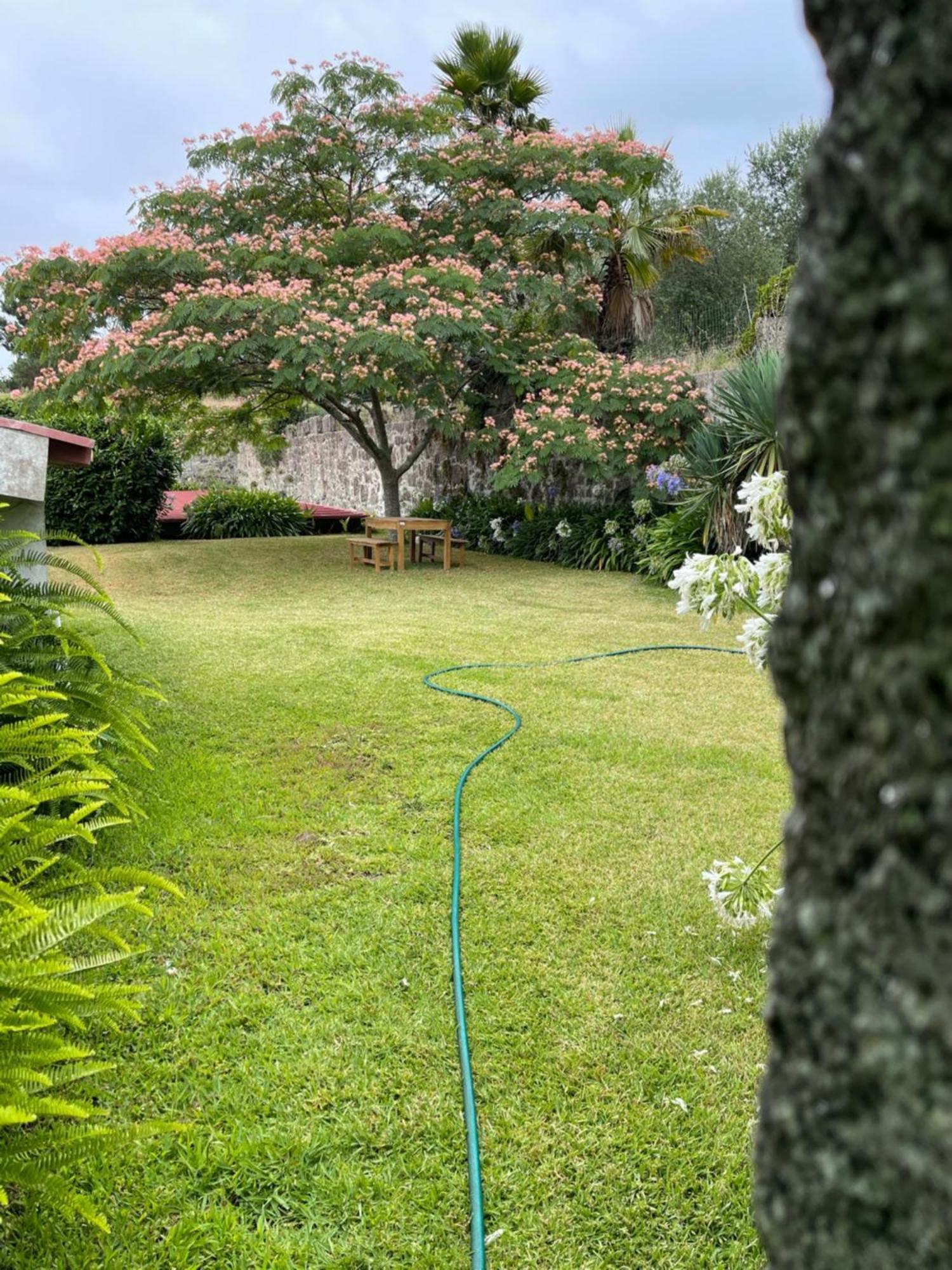 Quinta Da Fonte - Agroturismo 巴罗塞拉斯 外观 照片