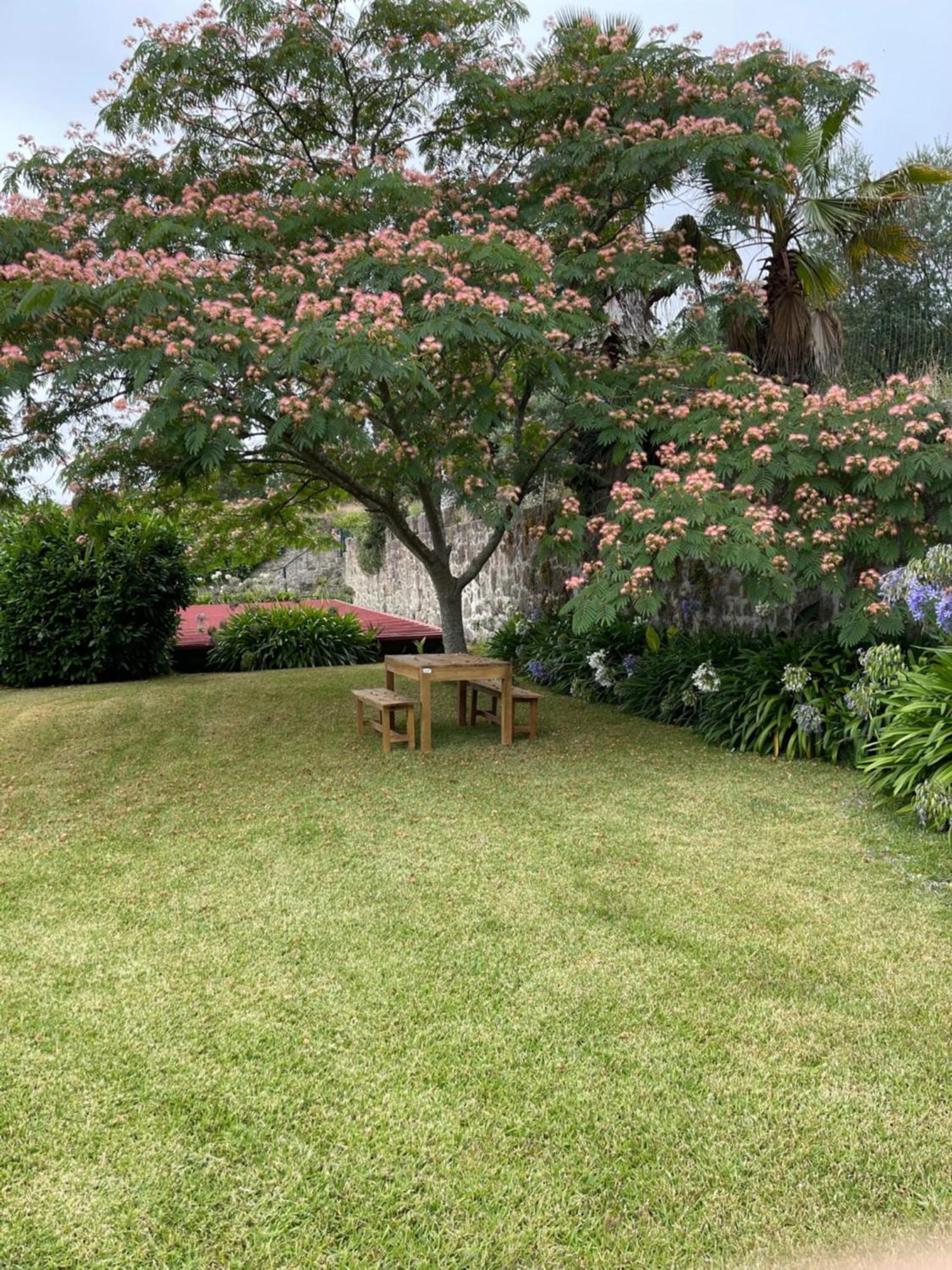 Quinta Da Fonte - Agroturismo 巴罗塞拉斯 客房 照片